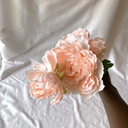 IMG_8994.webp