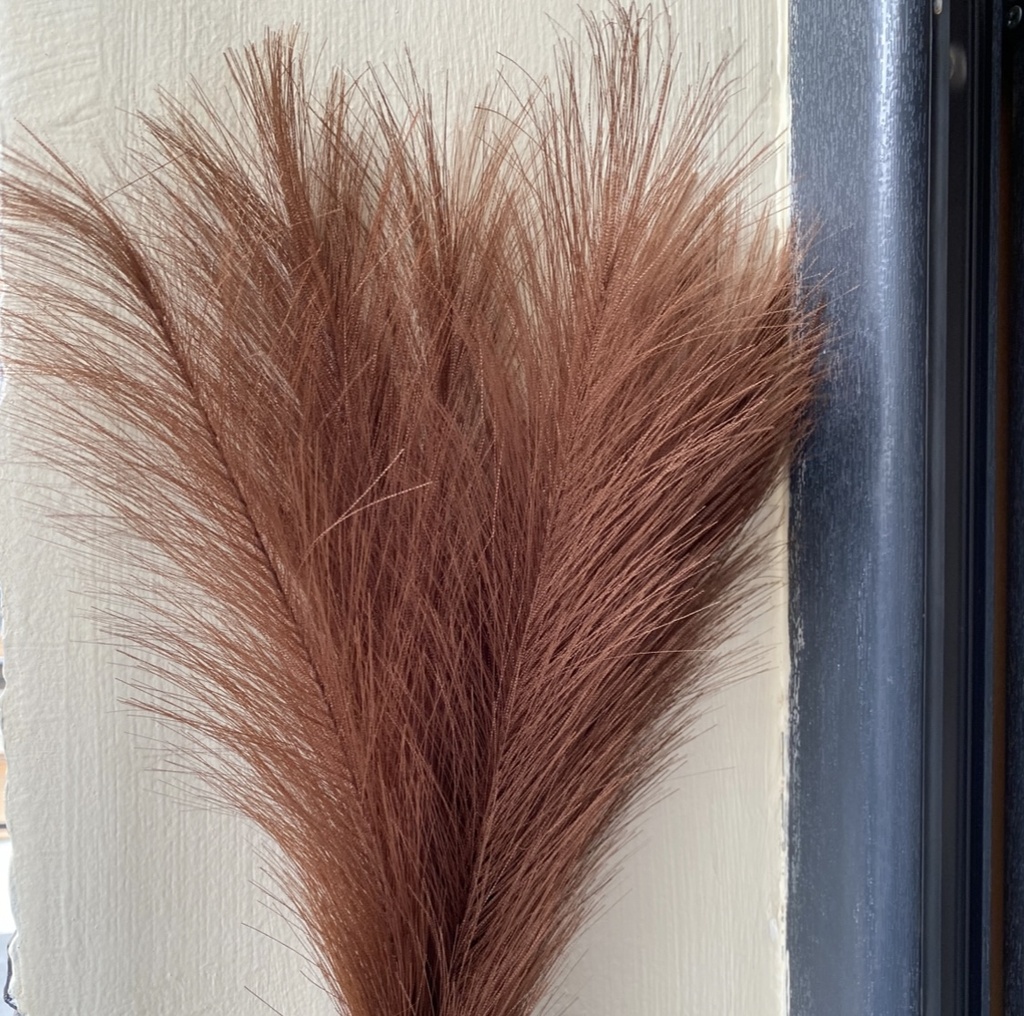 Pampas Grass