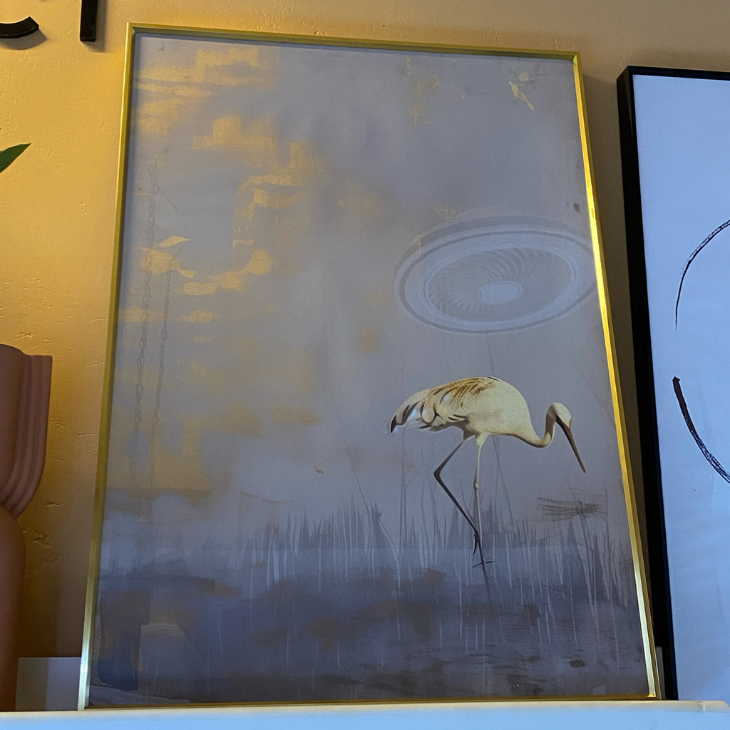 Cranes Framed Print