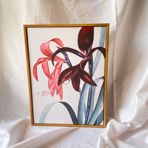 Flower Framed Print